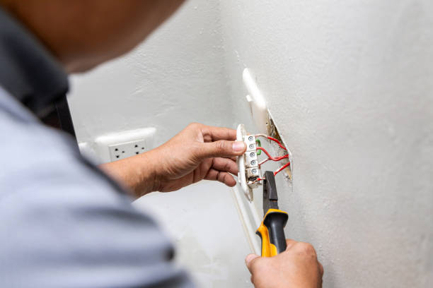 Best Electrical Troubleshooting Services  in Paloma Creek South, TX