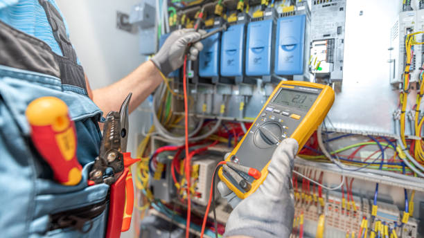 Best Residential Electrician Services  in Paloma Creek South, TX